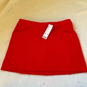 Urban Outfitter Mini Skirt